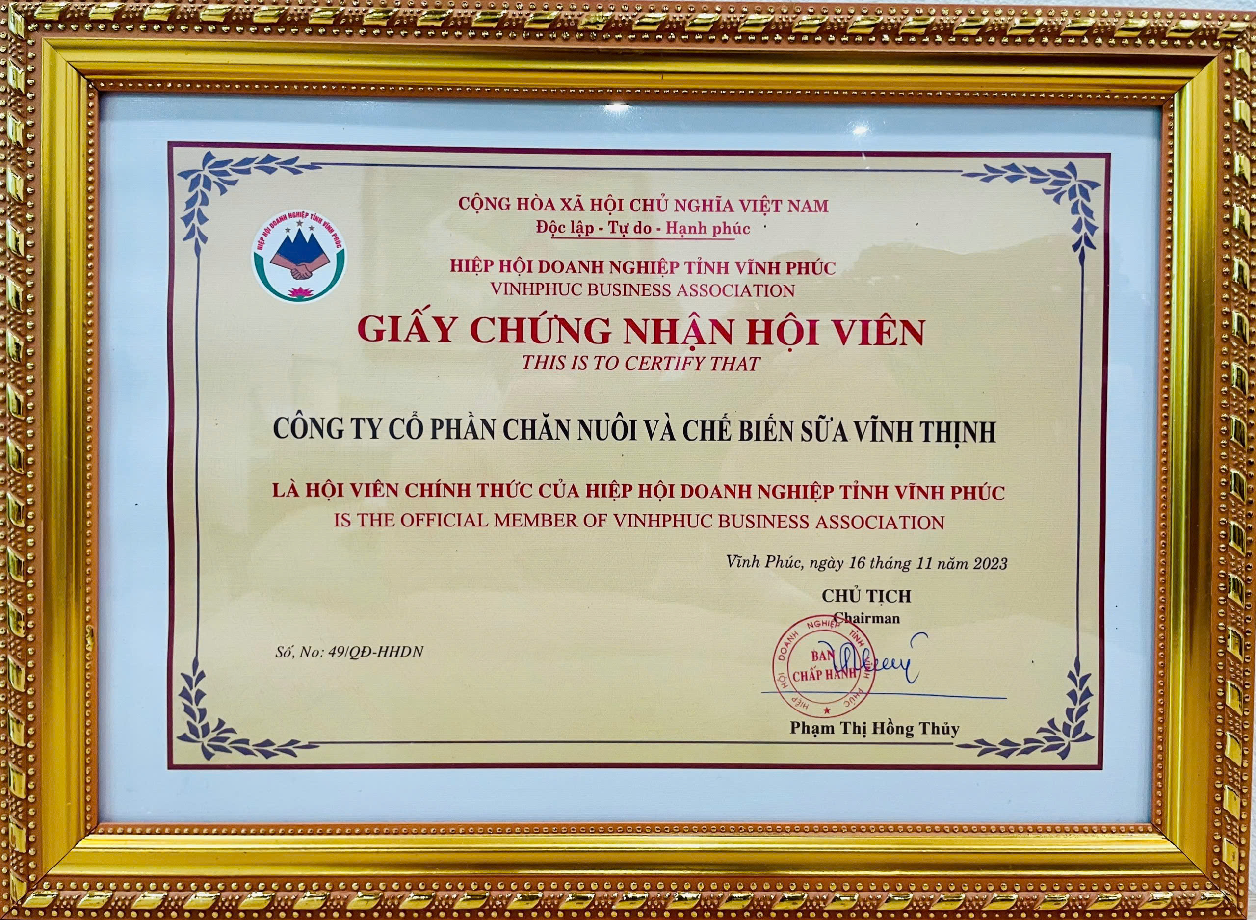 quảng cáo 11